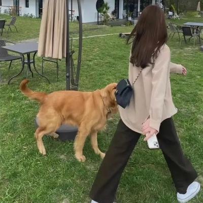 我的修真靠抽卡第二季